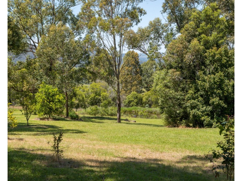 243 Wangat Trig Road, Dungog NSW 2420