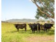1074 Seaham Road, Seaham NSW 2324