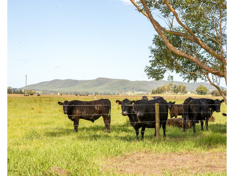 1074 Seaham Road, Seaham NSW 2324