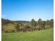 1798 Gresford Road, Torryburn Via, Paterson NSW 2421
