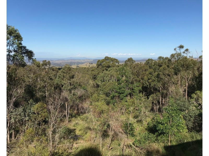 584 Moonabung Road, Vacy NSW 2421