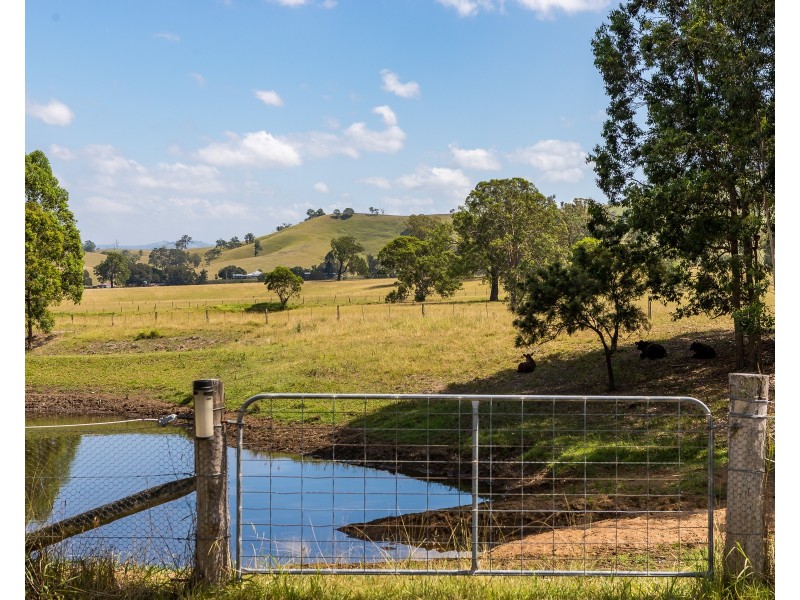 572 Torryburn Road, Torryburn Via, Paterson NSW 2421