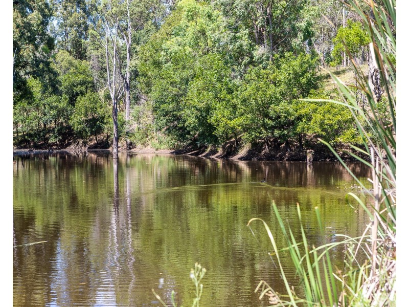 572 Torryburn Road, Torryburn Via, Paterson NSW 2421