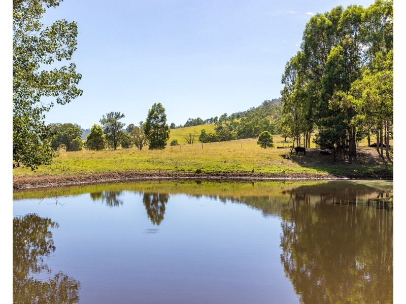 572 Torryburn Road, Torryburn Via, Paterson NSW 2421