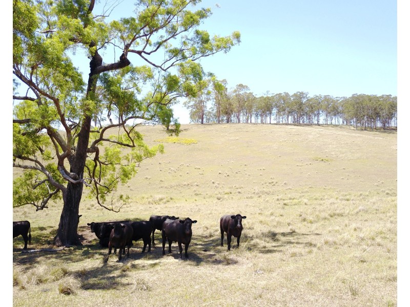 280 Stroud Hill Road, Stroud NSW 2425