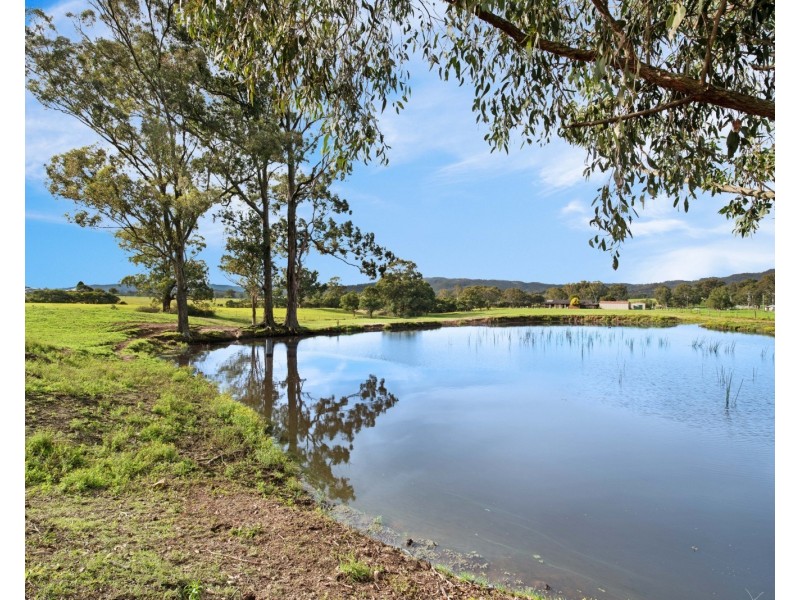 341 Gresford Road, Paterson NSW 2421