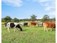 341 Gresford Road, Paterson NSW 2421