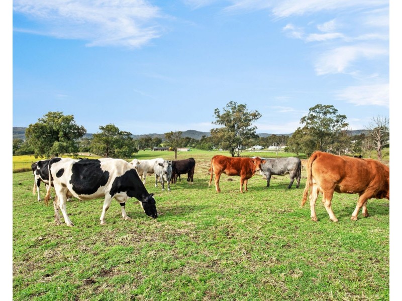 341 Gresford Road, Paterson NSW 2421