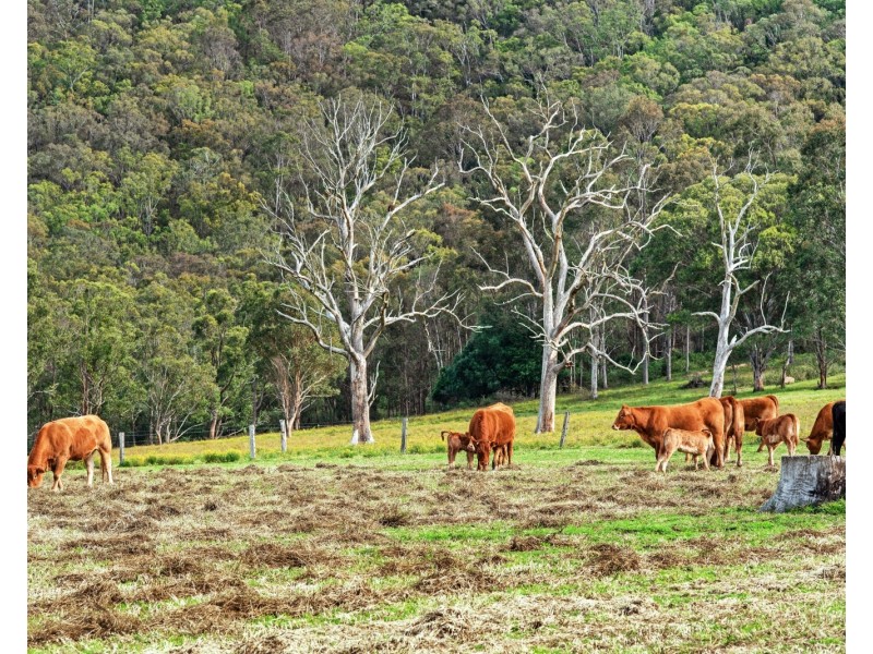 341 Gresford Road, Paterson NSW 2421