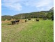341 Gresford Road, Paterson NSW 2421