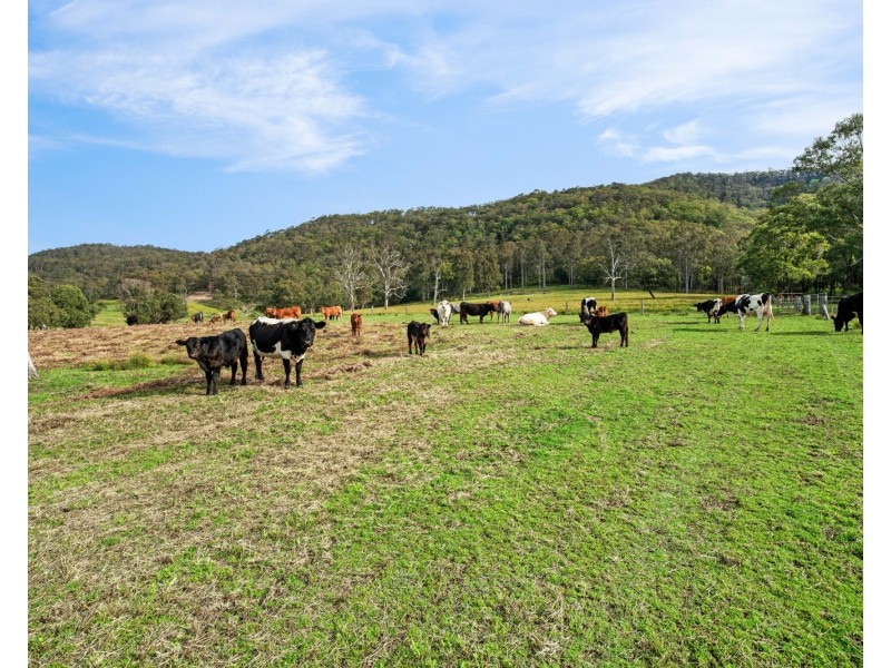 341 Gresford Road, Paterson NSW 2421