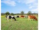 341 Gresford Road, Paterson NSW 2421
