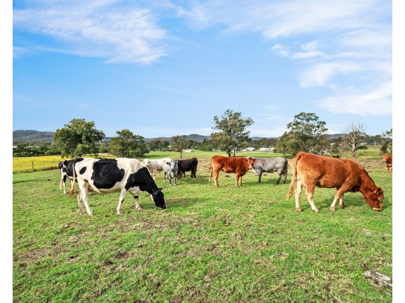 341 Gresford Road, Paterson NSW 2421