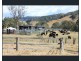 2578 Allyn River Road, ECCLESTON Via, East Gresford NSW 2311