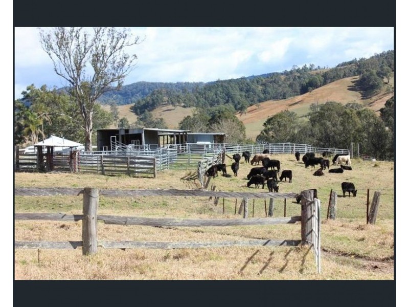 2578 Allyn River Road, ECCLESTON Via, East Gresford NSW 2311