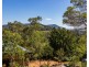 144 Martins Creek Road, Paterson NSW 2421