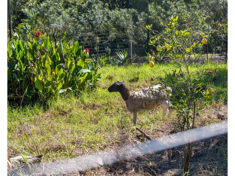 144 Martins Creek Road, Paterson NSW 2421