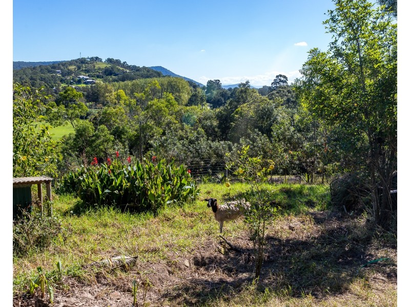 144 Martins Creek Road, Paterson NSW 2421