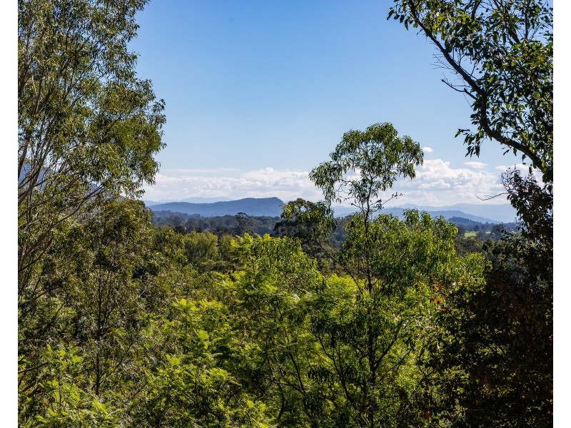 144 Martins Creek Road, Paterson NSW 2421