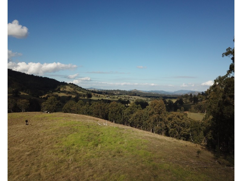 262 Dog Trap Creek Road, Gresford NSW 2311