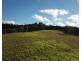 262 Dog Trap Creek Road, Gresford NSW 2311