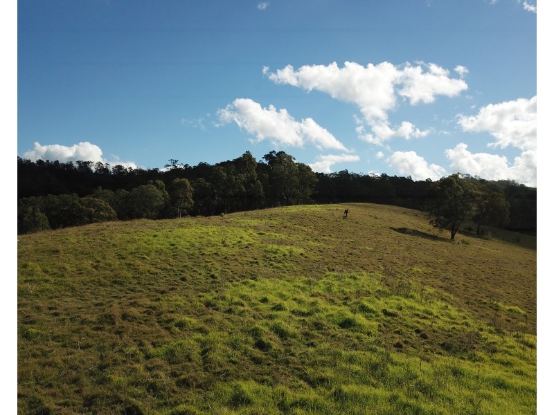 262 Dog Trap Creek Road, Gresford NSW 2311