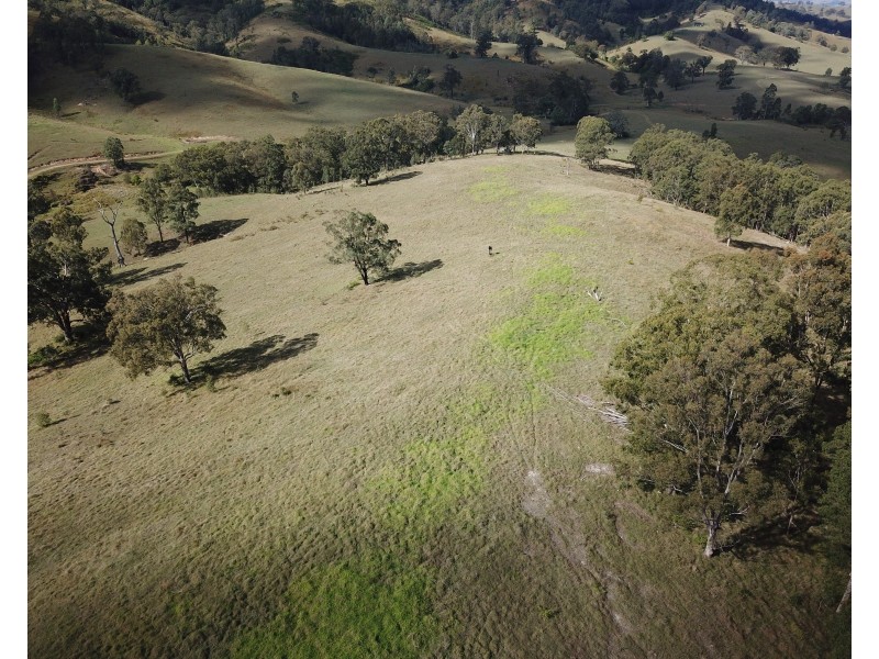 262 Dog Trap Creek Road, Gresford NSW 2311