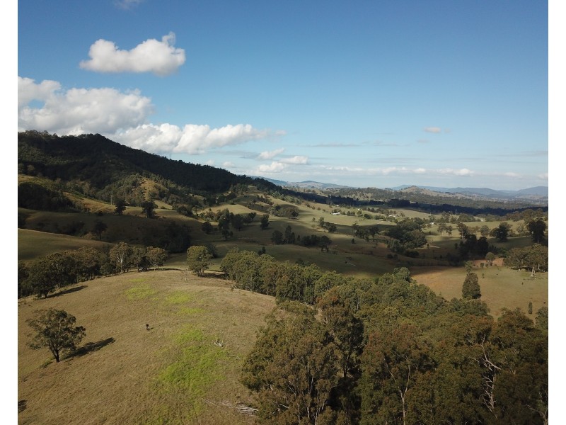 262 Dog Trap Creek Road, Gresford NSW 2311