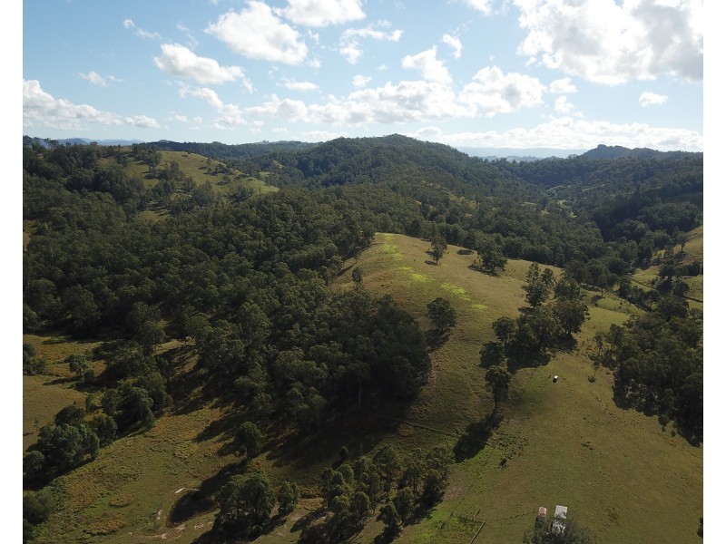 262 Dog Trap Creek Road, Gresford NSW 2311