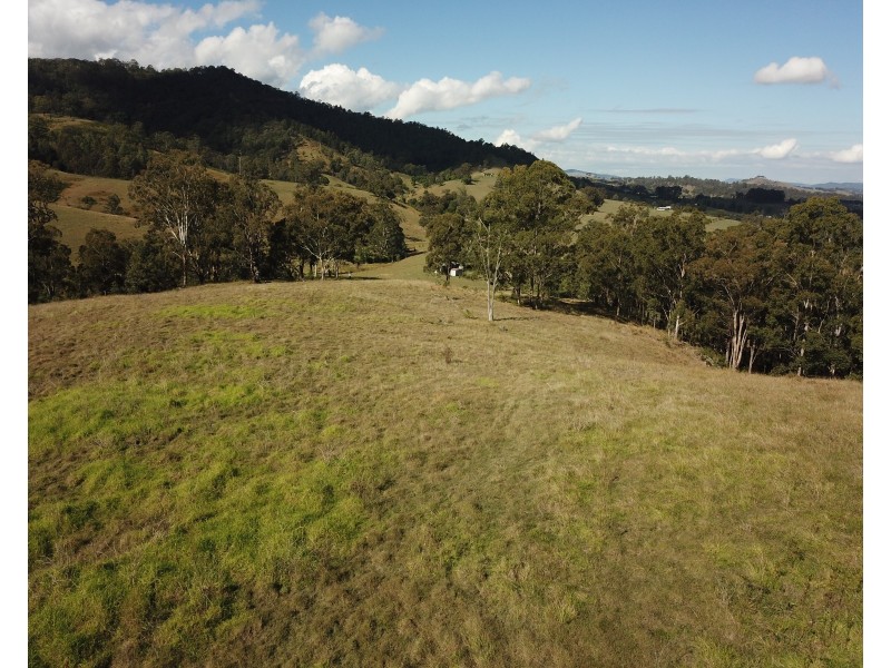 262 Dog Trap Creek Road, Gresford NSW 2311