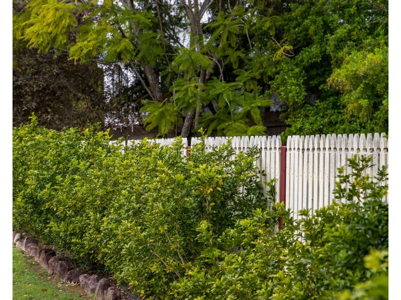 26A Myles Street, Dungog NSW 2420