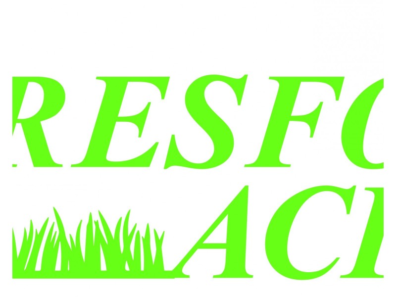 11 Ned Place, Gresford NSW 2311