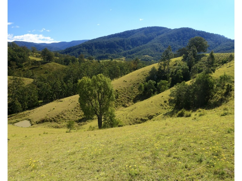 32 Longbottoms Road, Chichester Via, Dungog NSW 2420