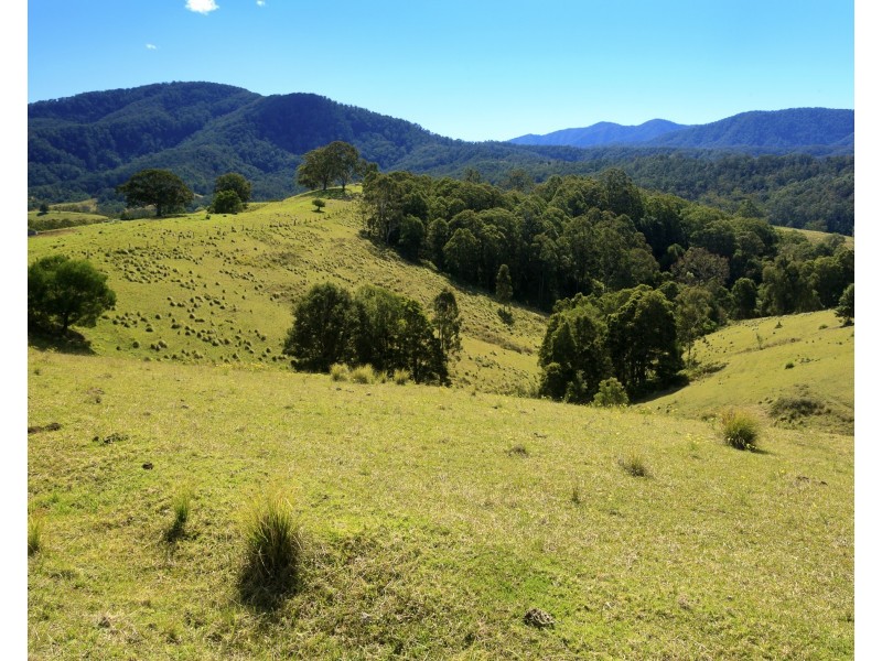 32 Longbottoms Road, Chichester Via, Dungog NSW 2420