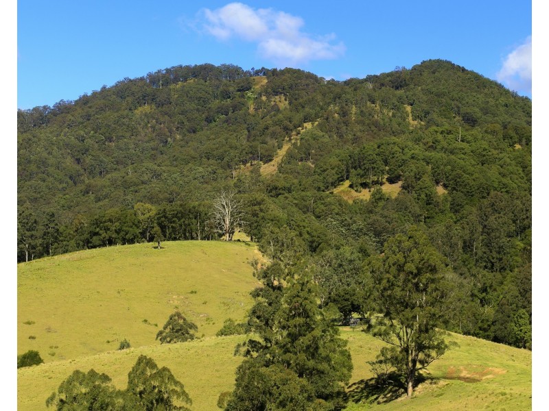 32 Longbottoms Road, Chichester Via, Dungog NSW 2420