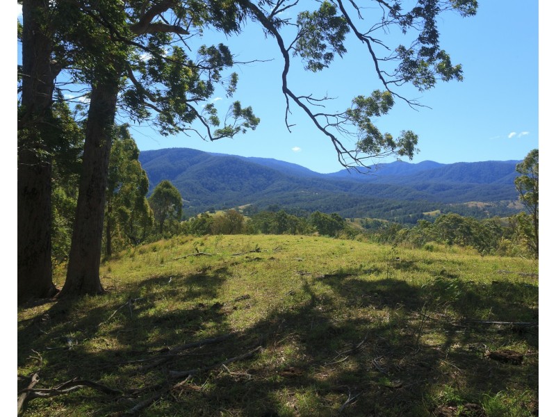 32 Longbottoms Road, Chichester Via, Dungog NSW 2420