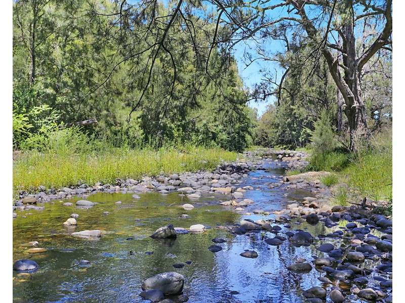 Lot 170 Salisbury Road, Salisbury Via, Dungog NSW 2420