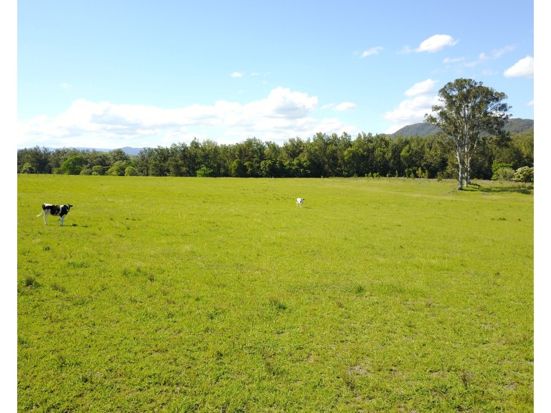 Lot 170 Salisbury Road, Salisbury Via, Dungog NSW 2420