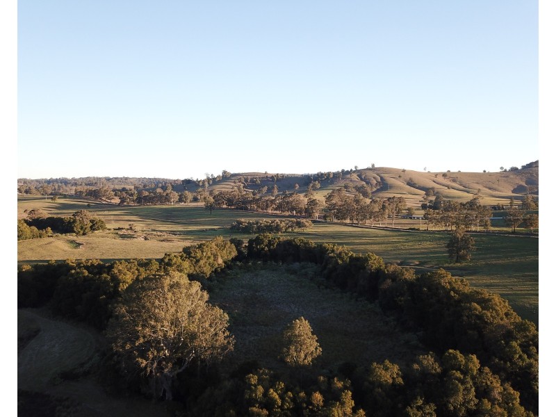 450 Chichester Dam Road, Dungog NSW 2420