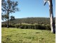 450 Chichester Dam Road, Dungog NSW 2420
