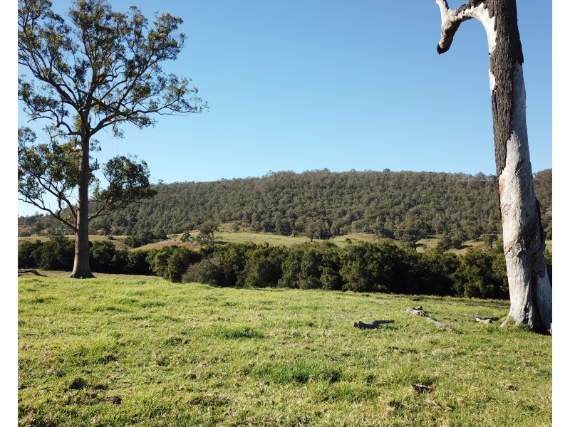 450 Chichester Dam Road, Dungog NSW 2420