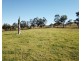 450 Chichester Dam Road, Dungog NSW 2420