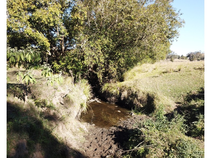 450 Chichester Dam Road, Dungog NSW 2420