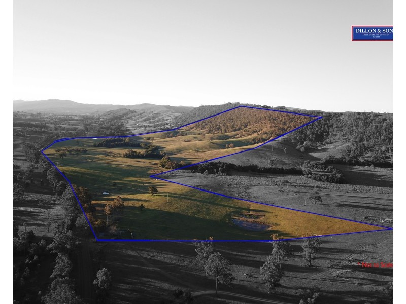 450 Chichester Dam Road, Dungog NSW 2420