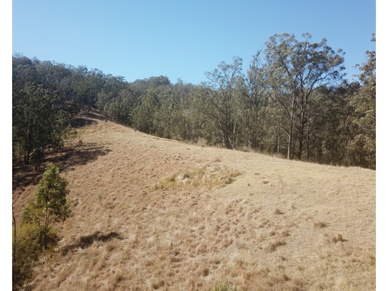 Lot 1 DP 369809 Off Quartpot Creek Road, Underbank Via, Dungog NSW 2420