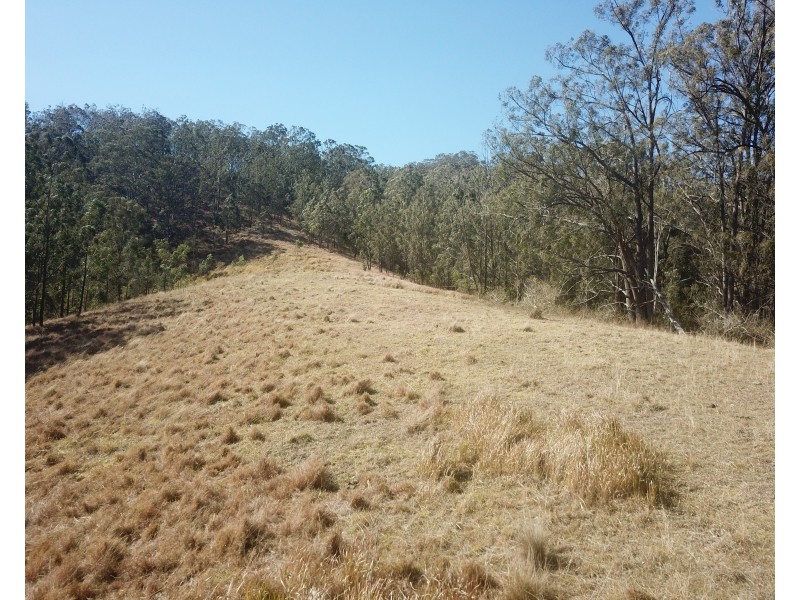 Lot 1 DP 369809 Off Quartpot Creek Road, Underbank Via, Dungog NSW 2420