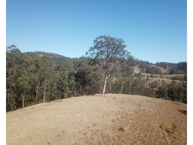 Lot 1 DP 369809 Off Quartpot Creek Road, Underbank Via, Dungog NSW 2420