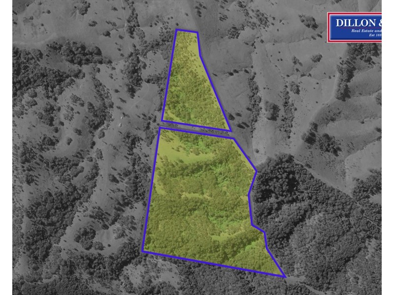 Lot 1 DP 369809 Off Quartpot Creek Road, Underbank Via, Dungog NSW 2420
