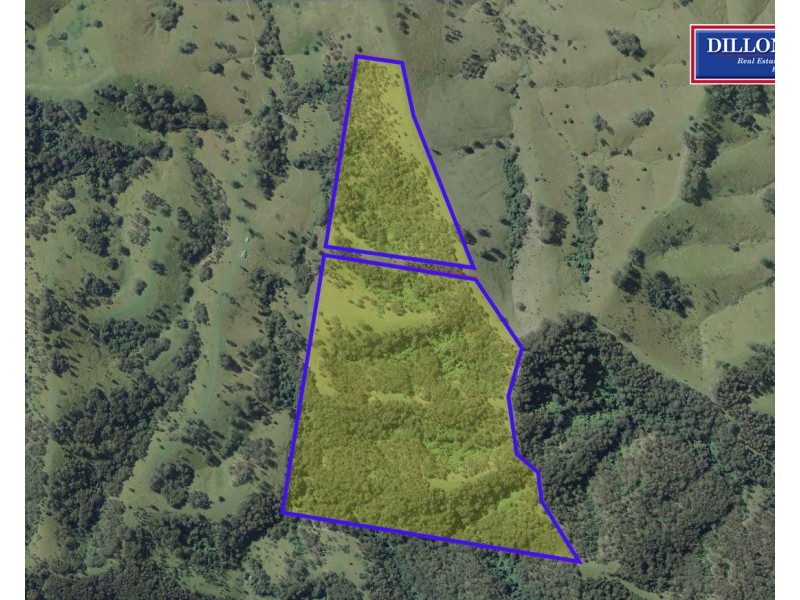 Lot 1 DP 369809 Off Quartpot Creek Road, Underbank Via, Dungog NSW 2420