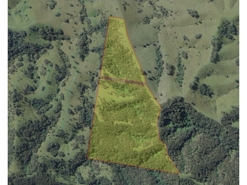 Lot 1 DP 369809 Off Quartpot Creek Road, Underbank Via, Dungog NSW 2420